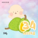 건강요가 (B) / 강좌번호 11 | [임신 27주~34주] 성심당 임산부 프리패스/임산부요가/똑게육아/백일해접종/아기옷세탁/만삭사진/결혼...