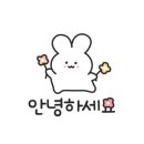 주식회사 서피란 이미지