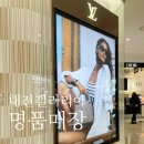 대전 갤러리아 루이비통 티파니 구찌 프라다 롤렉스 웨이팅 주차