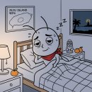 루나폴 | 제주 야간 명소 끝판왕, 루나폴 솔직 후기 : 제주에서 가장 신비로웠던 순간