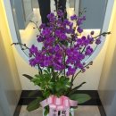 다담안경 이미지