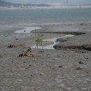 갯벌이야기 이미지