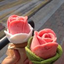 세원투어