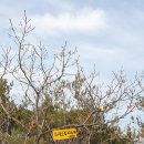 대각마을회관 이미지