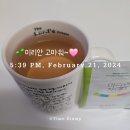 미리안나비 이미지