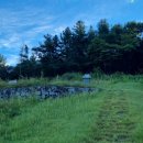 의병장 이춘영묘 이미지