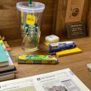 GR(홍성군)-[내포로]-하-32 | 휴학일기 #32