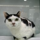 정종합동물병원 이미지