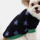 멍뭉(MUNGMOONG) 이미지