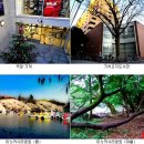 실용생활자수(관저문예회관) | [JSTART 추천 일본유학/일본어학교] "기치죠지 일본어학교에" 에서 여러분의 꿈을 실현해보세요 !