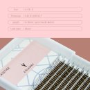 와이(Y)인터네셔날 이미지