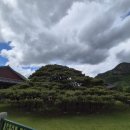 청도메기매운탕 이미지