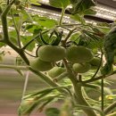 기지농장 이미지