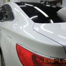 Evo-Luster 이미지