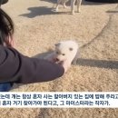 [종편] 혼자사는 할아버지 밥해주러 여친 혼자 보내라는 얘기들은 귀농 유튜버 이미지