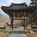 논공어린이집 | 여행 282. 전남 구례군[천은사 둘레길] 여행(결과 &amp; 후기)