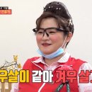 요정참치
