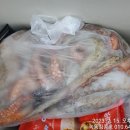 킹콩호 이미지