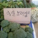 광안대광정육 이미지