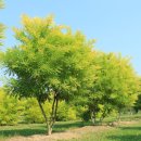 피부숨쉬다 이미지