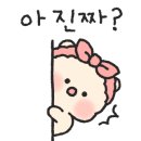 아라헤어모드