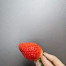 자연농원옥길럭키점 이미지