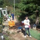 하늘샘농장 이미지