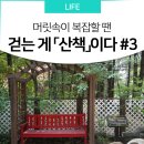 내정 어린이공원 이미지
