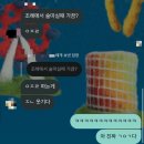 202606_주문하지도 않은 여름이 멋대로 도착했다네요.