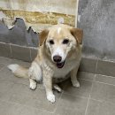 인수동김밥집 | 세터 모임 등산 후기 5- 안산