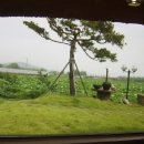 연꽃이야기 이미지