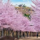 타이어뱅크 북포항점 이미지