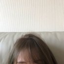온실헤어