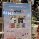 풍 | 대구 동구 동대구역 신세계백화점 대구점 위프 팝업 내돈내산 후기 풍향고 행사