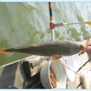 신애낚시터 이미지