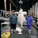 해양가든 이미지