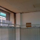 새안의원 이미지