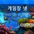 황금용불새게임장 이미지