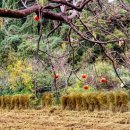 삼거리경로당 이미지