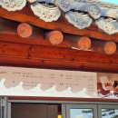 입장 | [화담숲] 취켓팅 &amp;주중 11시 입장 후기, 봄에도 가야지🤍