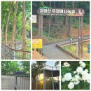 장아산근린공원 | 장아산 무장애 나눔 길, 숲세권 주민들의 최애 힐링 산책로