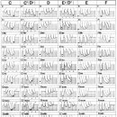 기타B 중급 이미지