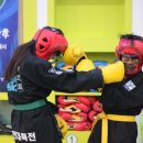 용인대 특전 합기도 이미지