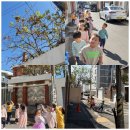 산새들어린이집 이미지