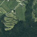 장용수 농장 이미지