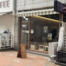 스톤래빗 이미지