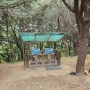 최혼선생묘 이미지