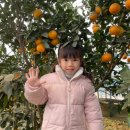 사교농장 이미지