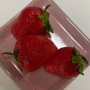 광적농업협동조합 | 넷 째주(2월 23일 ~ 3월 1일)