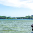 소풍길 들꽃산책 이미지